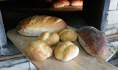 Konfisz Ryszard i Arkadiusz. Piekarnia